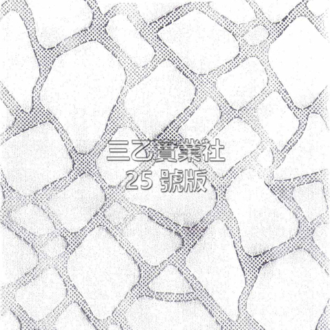 超音波布料壓紋25號版